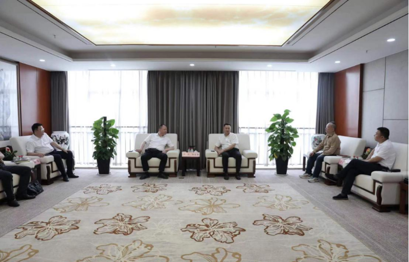 周鴻與湖南輕鹽集團(tuán)黨委副書記、副董事長、總經(jīng)理李志勇舉行會談