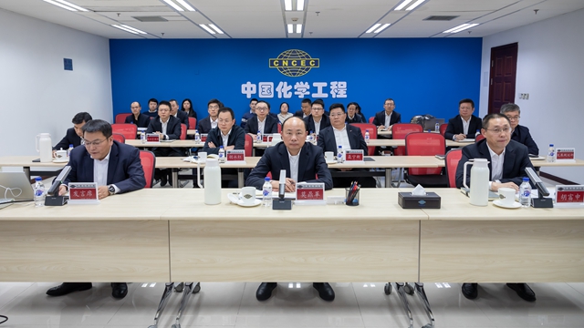 中國(guó)化學(xué)召開中央生態(tài)環(huán)境保護(hù)督察反饋問題整改部署會(huì)