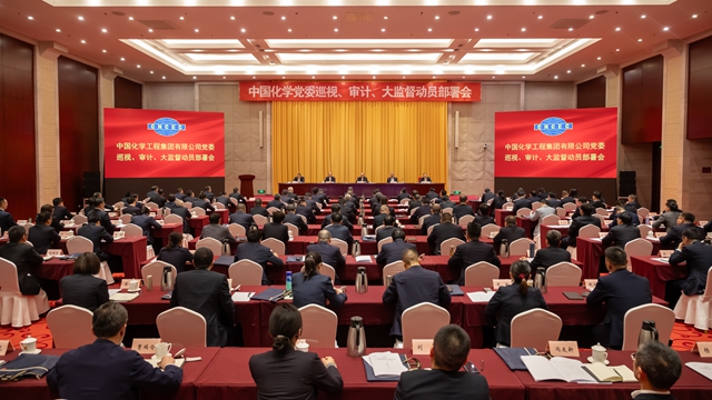中國化學(xué)黨委召開巡視、審計(jì)、大監(jiān)督動(dòng)員部署會(huì)