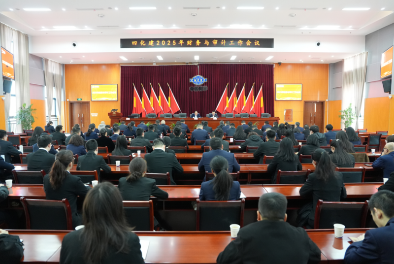 中國(guó)化學(xué)四化建召開2025年財(cái)務(wù)與審計(jì)工作會(huì)議